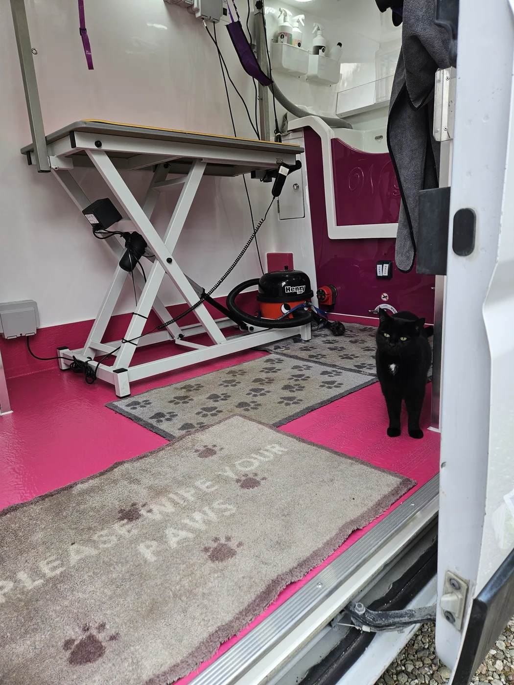 Looking into the van through the side door
